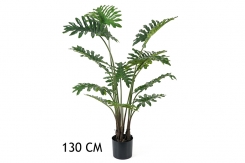 010 veštačka stabla filadenrona